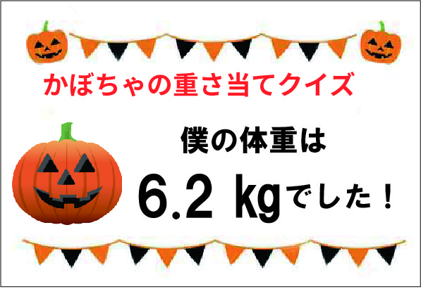 ハロウィンイベント重さ当てクイズ